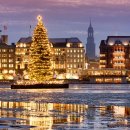 지니나라 이미지