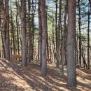 구리둘레길(2코스) 이미지