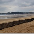 만리포해변 이미지