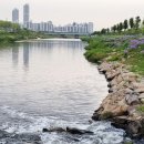 파크골프장 이미지