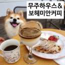 경포대보헤미안 | 반려동물 동반가능 경포대펜션 무주하우스 숙박 후기! &amp; 보헤미안커피