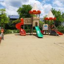 지족초등학교(병설) 이미지