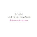 영통셀프세차장 네이버블로그
