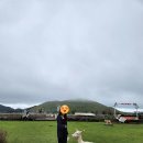 새별초교 | 제주 새별프렌즈 후기 초등 중학생 모두 만족한 애월코스