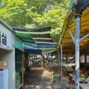 인제 캠핑장 초보자 완전정복, 강원인제 통나무집캠핑장 십이선녀탕계곡 꿀팁