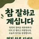 Born to be alive, let twist again, 이미지