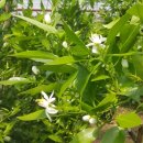 대유농장 이미지