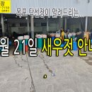 7월 21일, 새우젓(북새우젓,대대기젓,오젓,육젓) 모두 포함하여 40드럼 안되었습니다. (탁선장 남도농수산 생선카페) 이미지