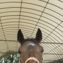 영웅목장 이미지