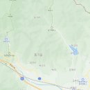 국립공원공단 국립공원야생생물보전원 야생동물의료센터 | 여우보러가요/국립공원야생생물보전원 중부보전센터/죽령옛길