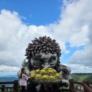 쇠목재 | “의령 도깨비숲 완전정복! 👣 가족과 함께 걷는 힐링 등산길”