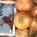 철이네푸드 이미지