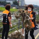 용인소방서 이미지