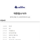 대한칼소닉 이미지