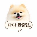 탑플라이트 | 파주 애견수영장 탑플라이트 | 강아지 수영장 있는 대관 운동장 후기