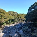 서귀포산업과학고등학교 이미지