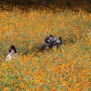 올림픽노래연습장 이미지