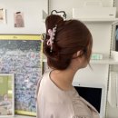 H8434 이미지