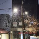 웬디스보틀 네이버블로그