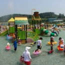 회산백련지 이미지