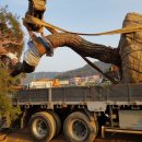 하루농장 이미지