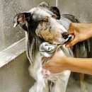 이지스힐 이미지