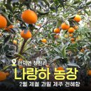 제주나랑하