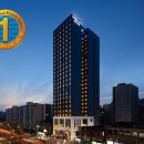 스테이61