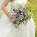 스포츠파크 뷔페 이미지