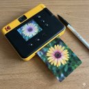 올윈너(ALL Winner) | 코닥 미니샷 3 ERA, 환불 고민했던 3가지 치명적 단점 (ft. 그럼에도 정착한 이유)