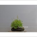 개승 이미지