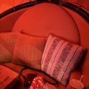 영화슈퍼 | 12월 개봉 일본영화 슈퍼 해피 포에버 GV 후기