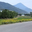 만복네 짬짜장 이미지