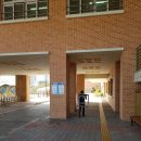 강동초등학교 | 울산 강동초등학교 롤방충망 설치후기 에스티