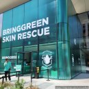 대일카케어 | 성수 브링그린 팝업스토어 현장 대기 등록 방법 및 게임 미션 성공 본품 2개 증정 받은 후기