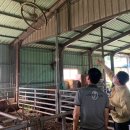 광산축산 이미지