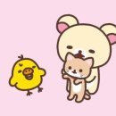 은비언니 Daum카페