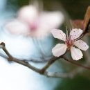 영어소설읽기 이미지