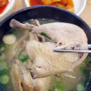 닭날선보는날