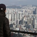 상업용 49 이미지