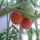 해변의집 이미지