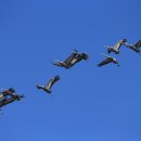 최종수농장 이미지