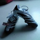 엡솔루트 이미지