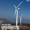 소나무목장 | 삼양라운드힐 입장료 할인 아기와 차로 정상까지 대관령 양떼목장