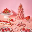 TOP GOLF 스튜디오 이미지