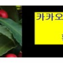 권선그린약국 이미지
