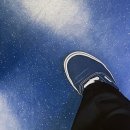 솜솜이네 이미지