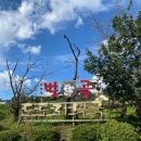 고석정주유소 이미지