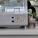카페토요 - 영등포구 도림로 436-7 | 카페토요