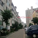 수목원소아치과치과의원 이미지